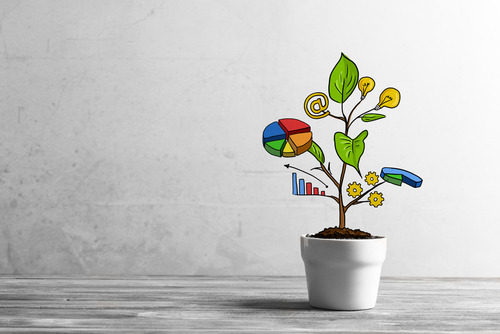 Can You Set the Stage for Growth in 2024?